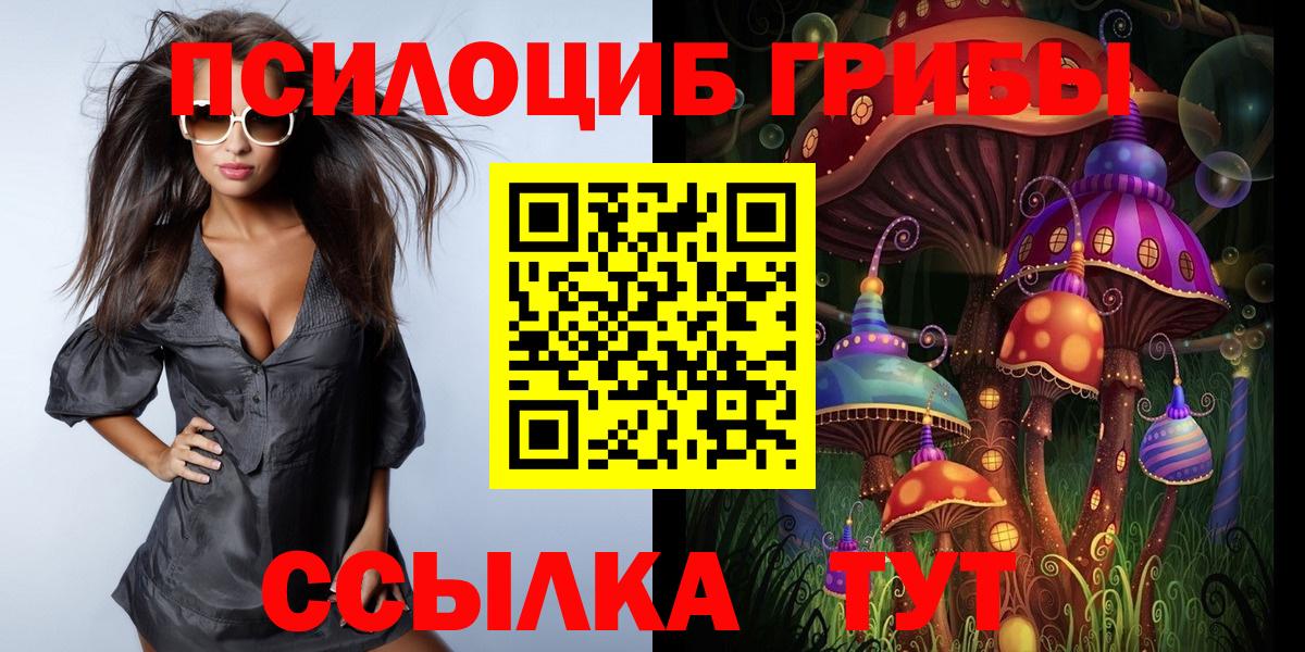 Галлюциногенные грибы Psilocybine cubensis Рыбинск
